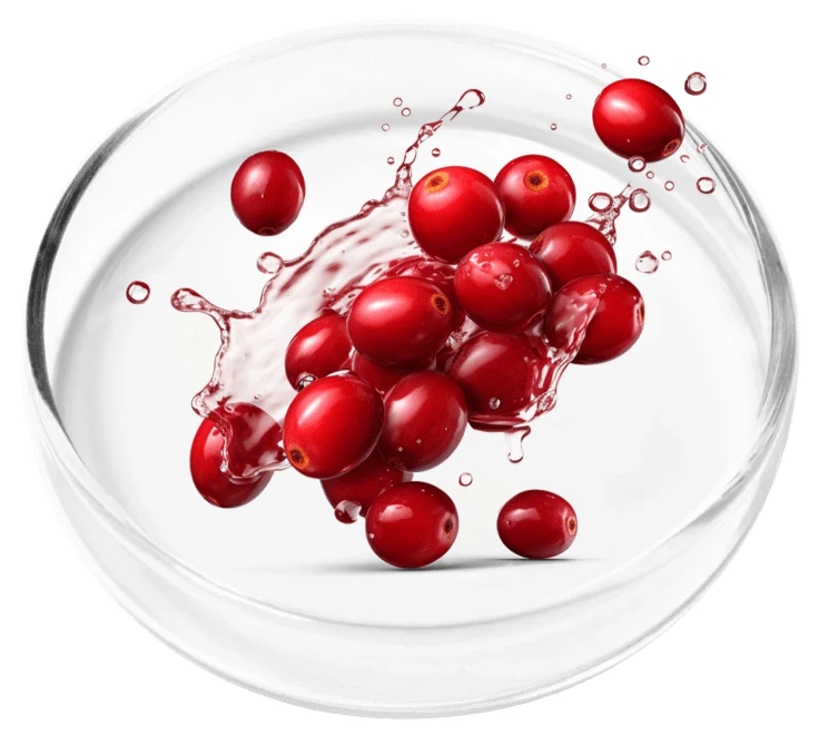 FemiPro Ingredient Cranberry Extract